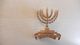 Menorah Badge