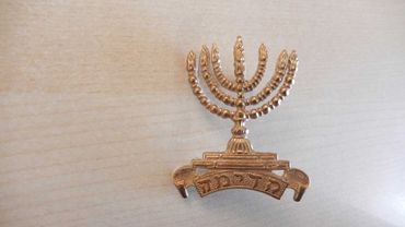 Menorah Badge