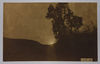 Postcard photograph of Palestine, possibly taken by a member of the Royal Fusiliers. ©Jewish Museum London/Jewish Military Museum