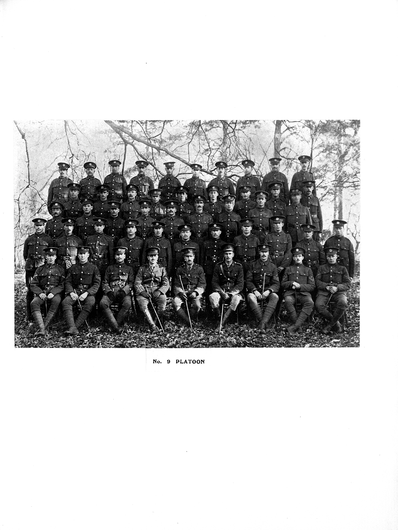 Captain Ernest Michael Green biography and original letters from 1916 explaining life in the trenches. 