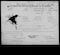 Military Record