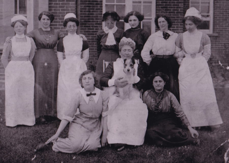Annie (in grey dress on grass)