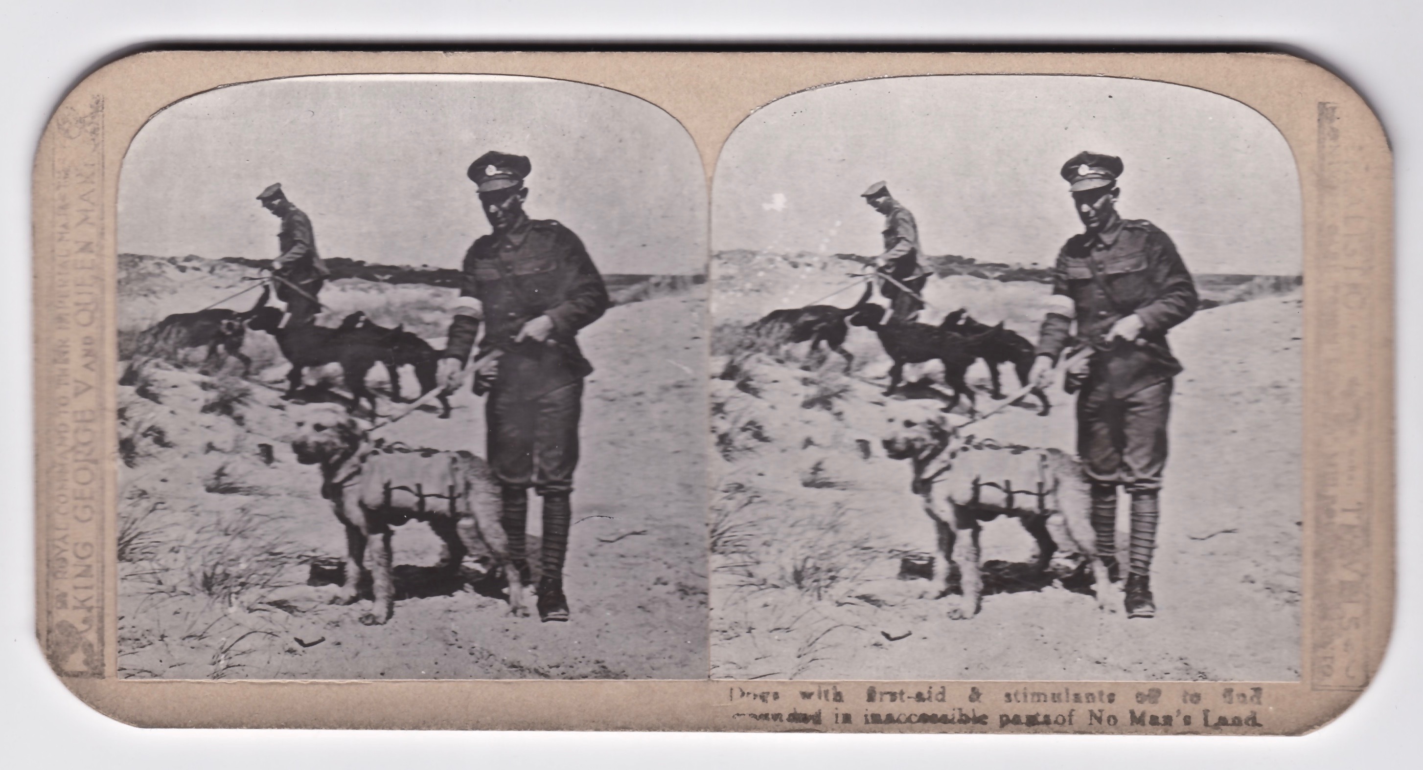Dogs with first-aid and stimulants to go to inaccessible parts of No Man's Land