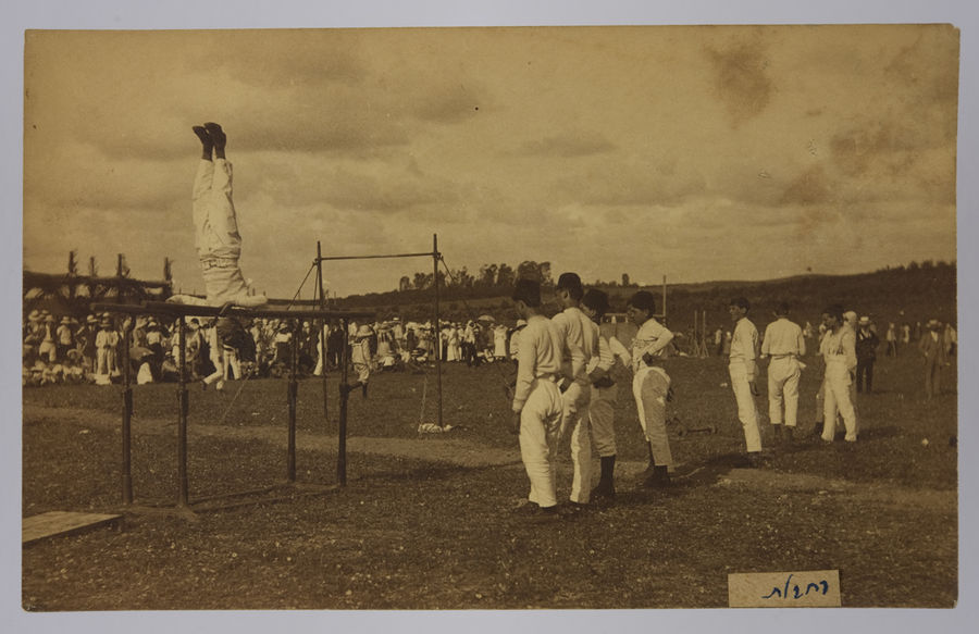 Postcard photograph of Palestine, possibly taken by a member of the Royal Fusiliers. ©Jewish Museum London/Jewish Military Museum