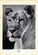 ‘Animals how I saw them, from the jungle to the steppes’