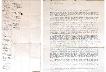 Ribeiro Petition