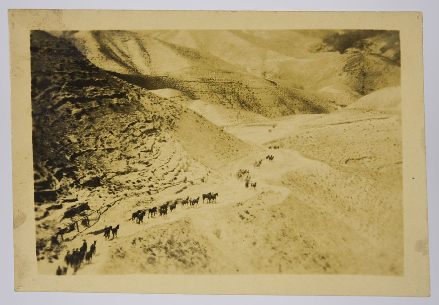 Photographs associated with the Royal Fusiliers, 38th - 42nd Battalions the "Judeans". ©Jewish Museum London/Jewish Military Museum