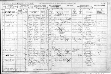 1901 Census