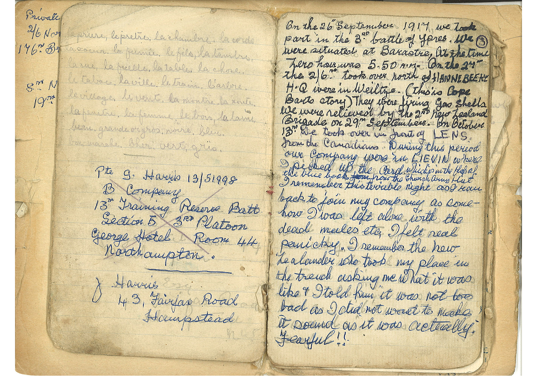 Private Louis Harris diary