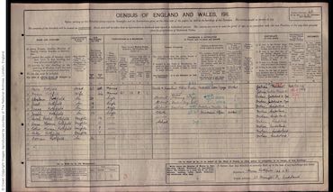1911 Census