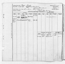  M J Levine Flying record card