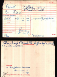 Medal card