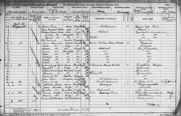 1891 Census