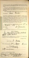Naturalisation