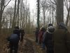 Mametz Wood, April 2018.