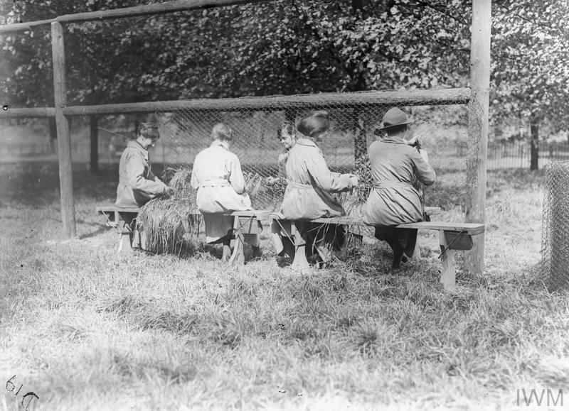 W. A. A. C.'s knotting tufts of grass on to wire netting. © IWM (Q 17684)