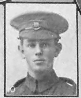 Book of Honour photo