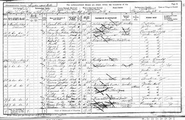 1901 Census