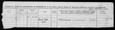 Chelsea War Hospital with Dermatitis 20/5/1919-11/6/1919