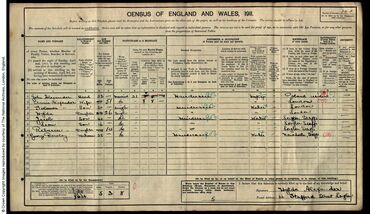 1911 census