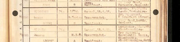 Entry in Red cross book