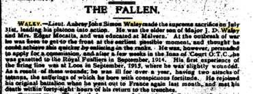 The Fallen (in anecdotes)