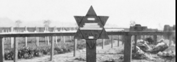 Solomon Cohen