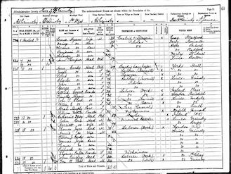 1891 Census