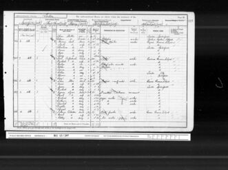 1901 Census