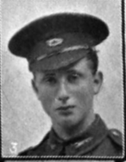 Book of Honour photo