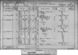 1891 Census