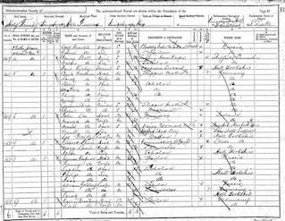 1891 Census