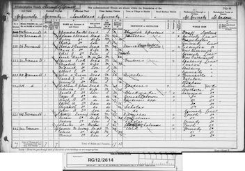 1891 Census