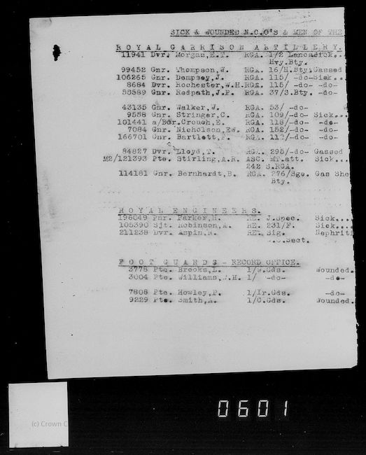 List of sick and wounded