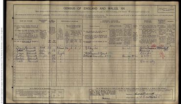 1911 Census