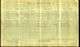 1911 Census