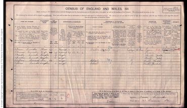 1911 census