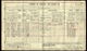 1911 census