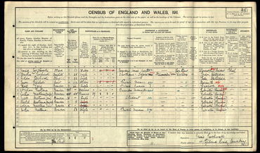 1911 census