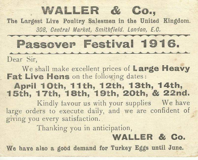 Passover butcher pricelist 1916. London. Adrian Andrusier Collection