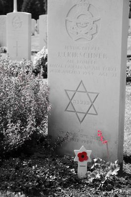 Volunteer and Team Visit 20/07/2017. Brookwood Military Cemetery. David Ruback, Volunteer Photographer