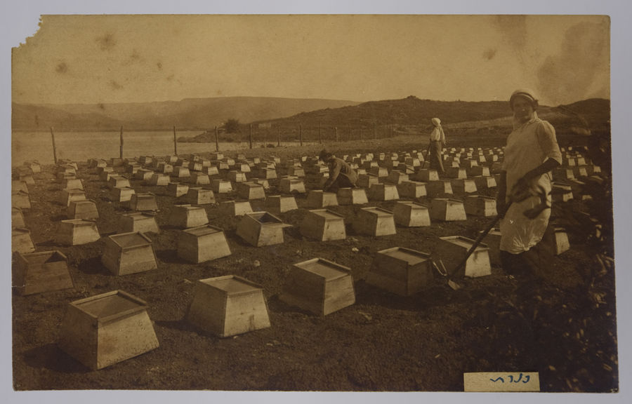 Postcard photograph of Palestine, possibly taken by a member of the Royal Fusiliers. ©Jewish Museum London/Jewish Military Museum