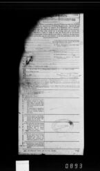 Statement of Disability 
