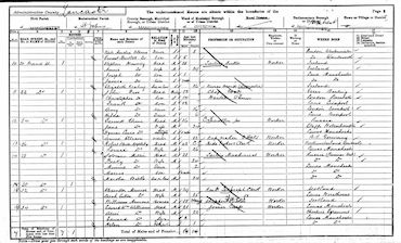 1901 Census