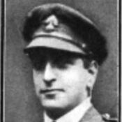 Harry Levi