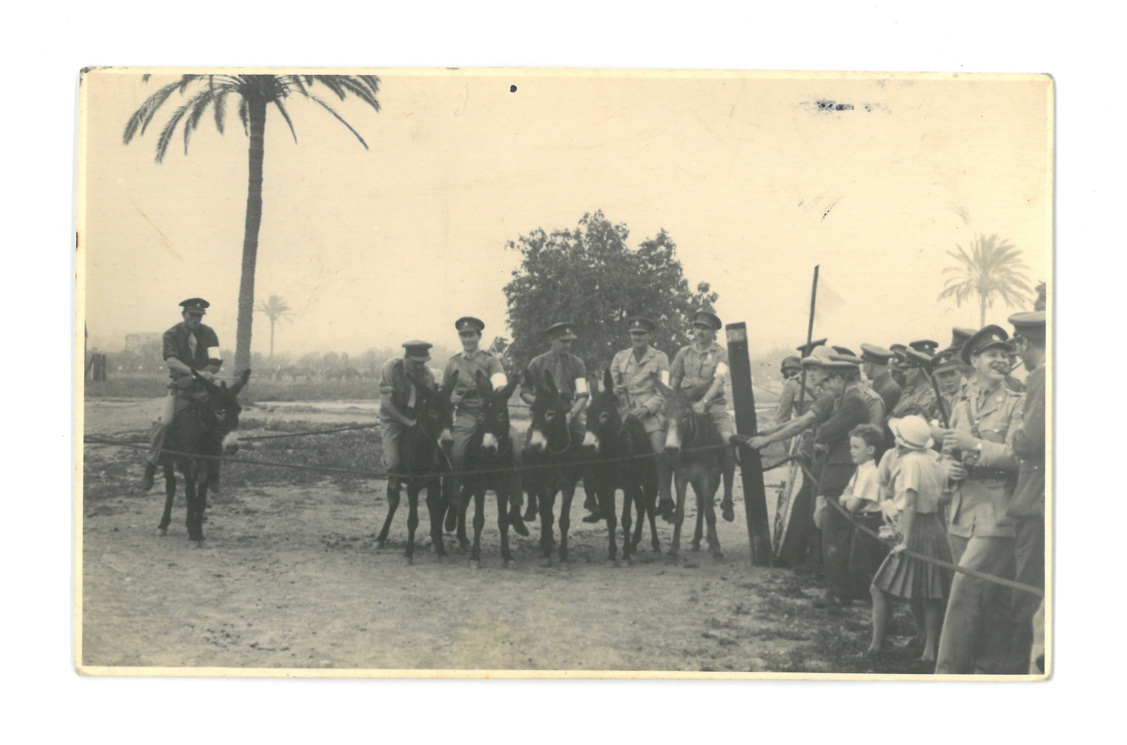 Soldiers of the Jewish Brigade, Donkey Derby, Zion Mule Corp 