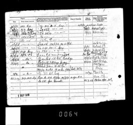 Army Service Record