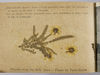 20 photographs/postcards from Palestine in WW1 and photograph and flower book from Jerusalem. ©Jewish Museum London/Jewish Military Museum	