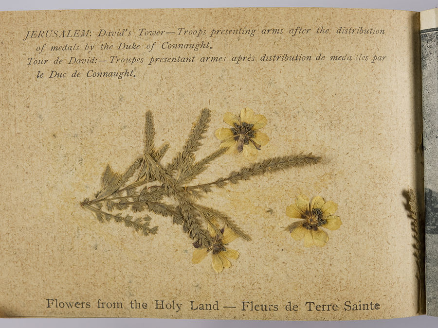20 photographs/postcards from Palestine in WW1 and photograph and flower book from Jerusalem. ©Jewish Museum London/Jewish Military Museum	