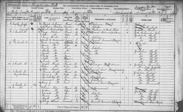 1891 Census